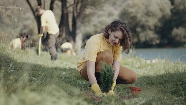 Best Lawn Maintenance Plans  in Soh Salt Lake, UT